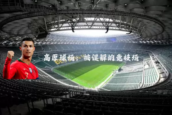 高原球场:被误解的竞技场